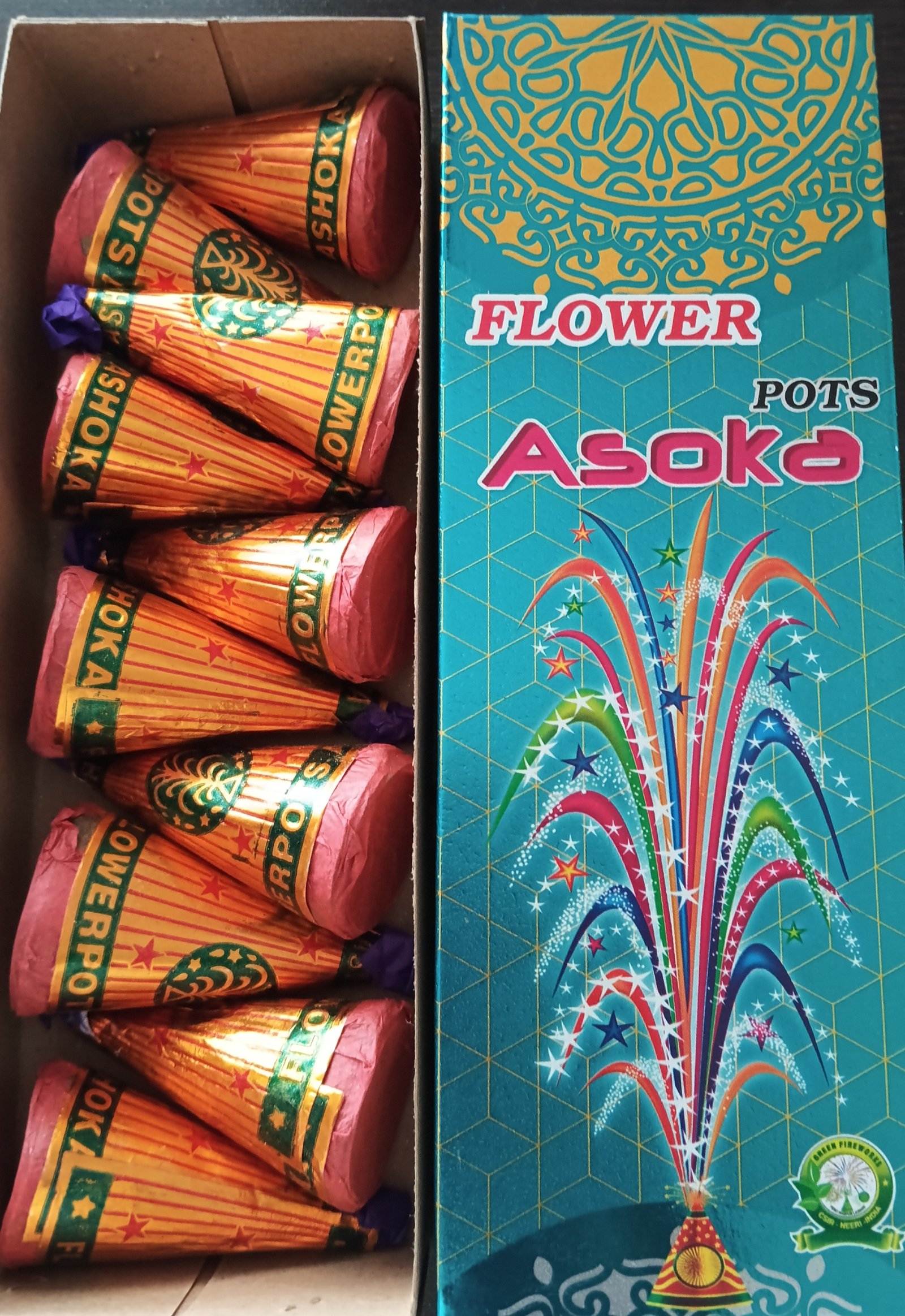 Flower Pot Asoka